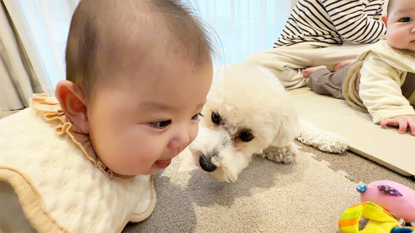 くるみ きょうのわんこ 写真4