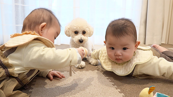 くるみ きょうのわんこ 写真5