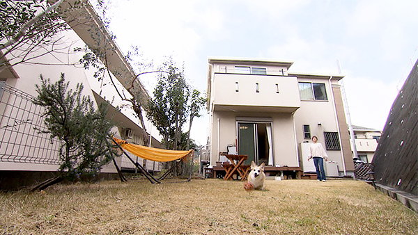 リリー きょうのわんこ 写真4