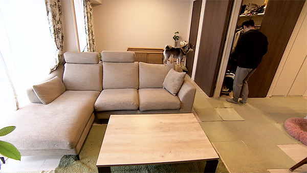 こたろう きょうのわんこ 写真2