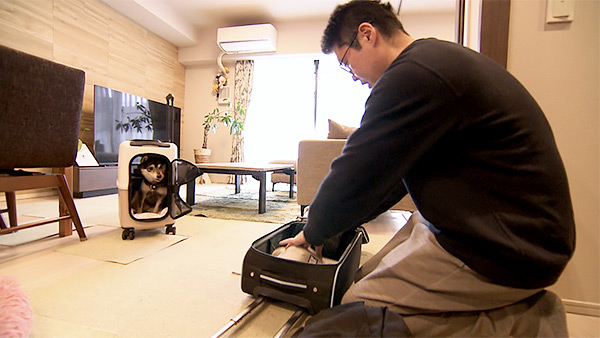 こたろう きょうのわんこ 写真4