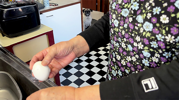 ペピーノ寅次郎 きょうのわんこ 写真4