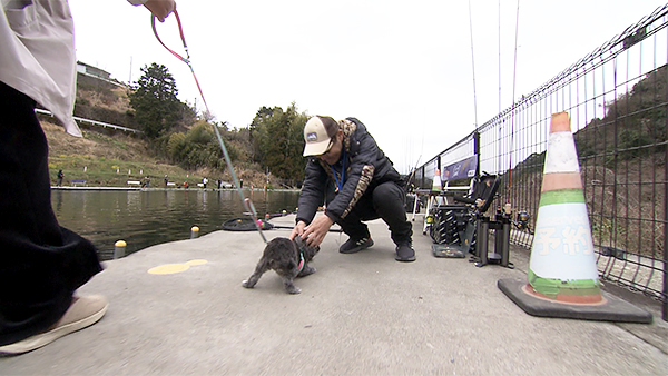 ラピ きょうのわんこ 写真3