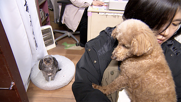 ラピ きょうのわんこ 写真4