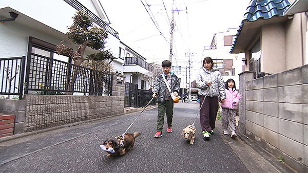 りん きょうのわんこ 写真3