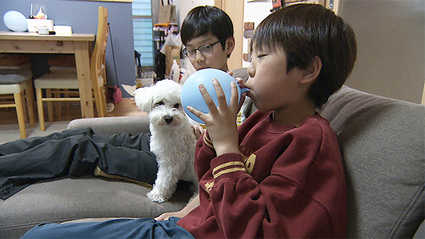 ルイ きょうのわんこ 写真2