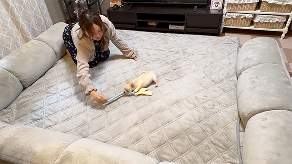 ララァ きょうのわんこ 写真5