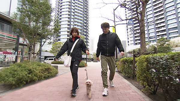 シャンティ きょうのわんこ 写真2