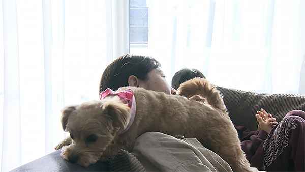 ココ きょうのわんこ 写真4