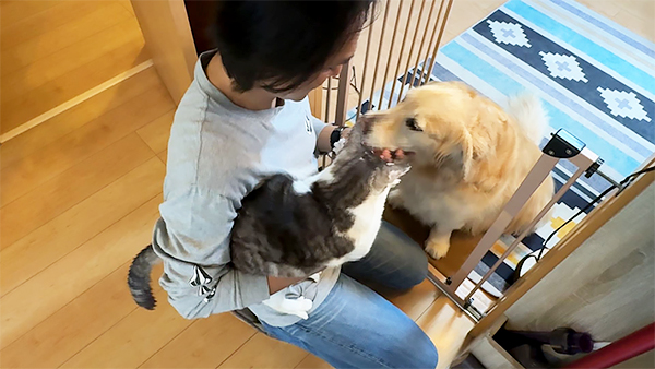 アベル きょうのわんこ 写真3