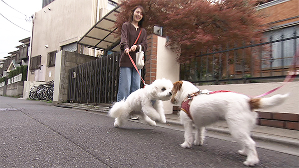 うゆ きょうのわんこ 写真3