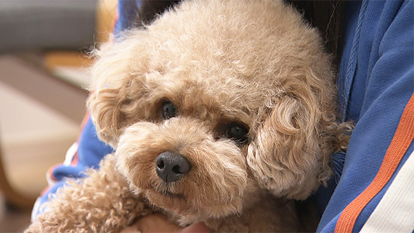 モカ きょうのわんこ 写真1