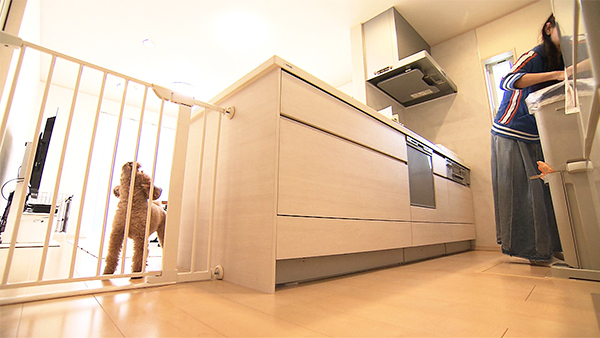 モカ きょうのわんこ 写真4