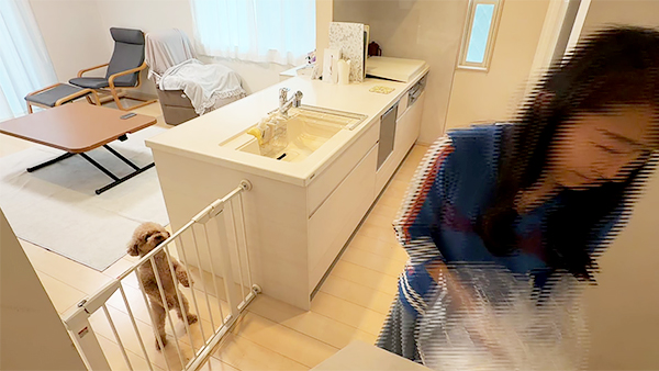 モカ きょうのわんこ 写真5