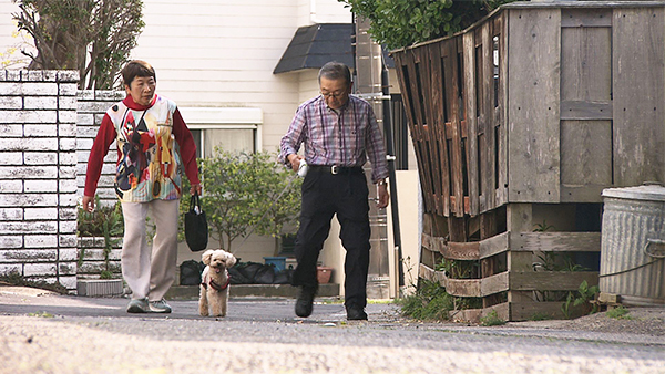 グレート きょうのわんこ 写真2