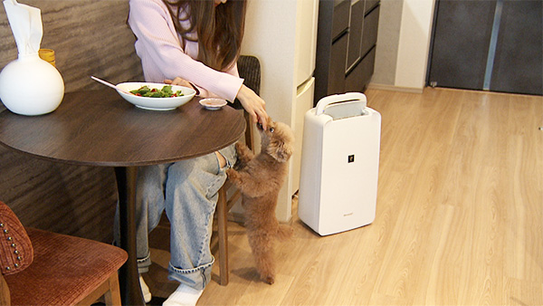 うに きょうのわんこ 写真4