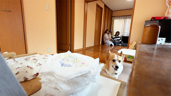 めろ きょうのわんこ 写真3