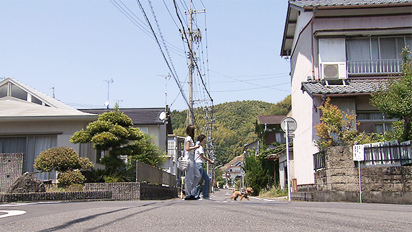キャプテンシャルル きょうのわんこ 写真2