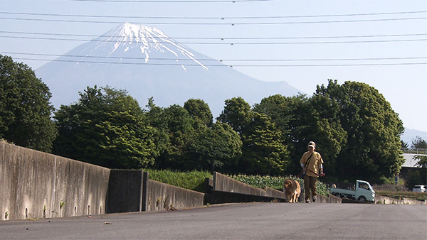 らら きょうのわんこ 写真2
