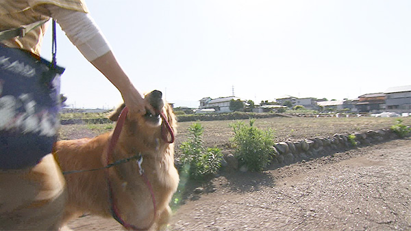 らら きょうのわんこ 写真3