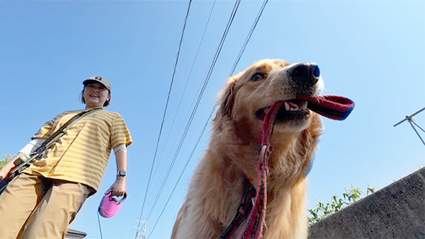 らら きょうのわんこ 写真4
