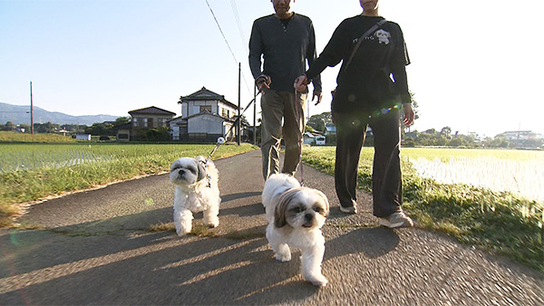 もも＆るる きょうのわんこ 写真1