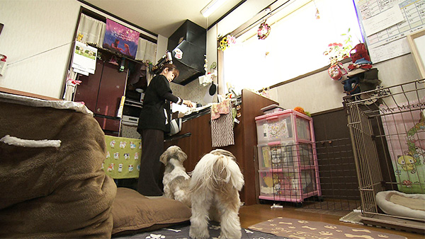 もも&るる きょうのわんこ 写真3
