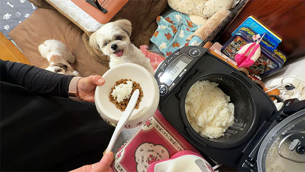 もも&るる きょうのわんこ 写真4