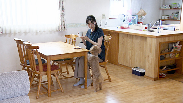 蓮太郎 きょうのわんこ 写真5