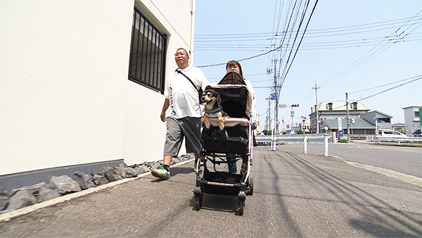 ぽてち きょうのわんこ 写真2