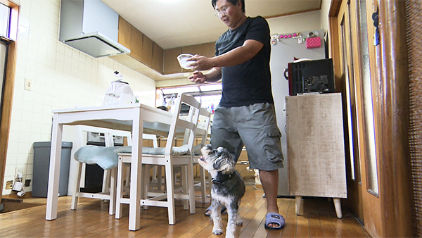 ロイ きょうのわんこ 写真2