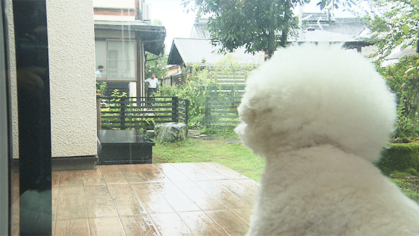 おもち きょうのわんこ 写真2