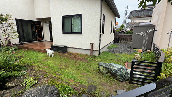 おもち きょうのわんこ 写真3