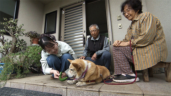 ココア きょうのわんこ 写真3