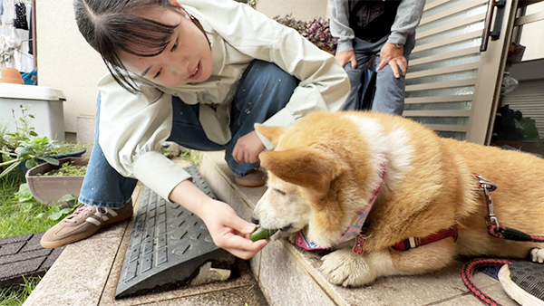 ココア きょうのわんこ 写真5
