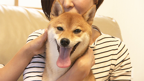 ララ きょうのわんこ 写真1
