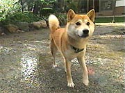 �`�r