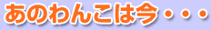 『あのわんこは今・・・』