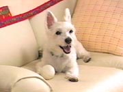 ヴァレン ヴァレン