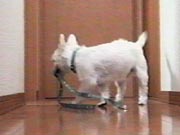 ヴァレン ヴァレン