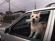 ヴァレン ヴァレン