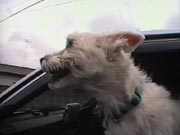 ヴァレン ヴァレン