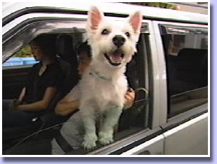 ���@����