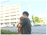 らむ きょうのわんこ 写真5