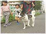はる きょうのわんこ 写真2