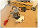 Gabriel(ガブリエル) きょうのわんこ 写真5