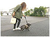 フィン きょうのわんこ 写真5