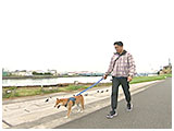 豆太郎 きょうのわんこ 写真4