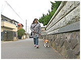夏音（かのん） きょうのわんこ 写真4