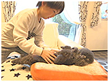 らら きょうのわんこ 写真4